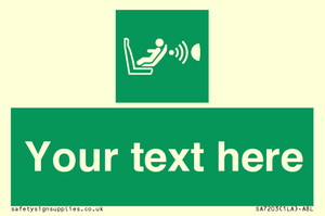 Custom safe condition child seat presence orientation detection system